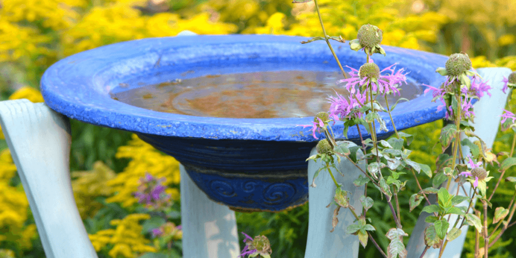 Bird bath in garden